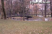[P27] Sfântu Gheorghe (jud. Covasna) - parcul Elisabeta. » foto by Dragoș_MD
 - 
<span class="allrVoted glyphicon glyphicon-heart hidden" id="av283317"></span>
<a class="m-l-10 hidden" id="sv283317" onclick="voting_Foto_DelVot(,283317,14513)" role="button">șterge vot <span class="glyphicon glyphicon-remove"></span></a>
<a id="v9283317" class=" c-red"  onclick="voting_Foto_SetVot(283317)" role="button"><span class="glyphicon glyphicon-heart-empty"></span> <b>LIKE</b> = Votează poza</a> <img class="hidden"  id="f283317W9" src="/imagini/loader.gif" border="0" /><span class="AjErrMes hidden" id="e283317ErM"></span>