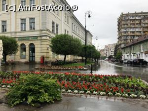 [P17] Zonă verde și clădiri din entrul orașului Sf Gheorghe » foto by AZE
 - 
<span class="allrVoted glyphicon glyphicon-heart hidden" id="av1330194"></span>
<a class="m-l-10 hidden" id="sv1330194" onclick="voting_Foto_DelVot(,1330194,14513)" role="button">șterge vot <span class="glyphicon glyphicon-remove"></span></a>
<a id="v91330194" class=" c-red"  onclick="voting_Foto_SetVot(1330194)" role="button"><span class="glyphicon glyphicon-heart-empty"></span> <b>LIKE</b> = Votează poza</a> <img class="hidden"  id="f1330194W9" src="/imagini/loader.gif" border="0" /><span class="AjErrMes hidden" id="e1330194ErM"></span>