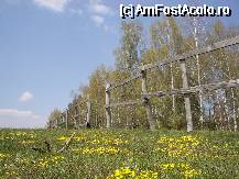 [P13] Pacat ca oamenii nu au ezitat sa distruga gardul » foto by ancamariagadea*
 - 
<span class="allrVoted glyphicon glyphicon-heart hidden" id="av69913"></span>
<a class="m-l-10 hidden" id="sv69913" onclick="voting_Foto_DelVot(,69913,14513)" role="button">șterge vot <span class="glyphicon glyphicon-remove"></span></a>
<a id="v969913" class=" c-red"  onclick="voting_Foto_SetVot(69913)" role="button"><span class="glyphicon glyphicon-heart-empty"></span> <b>LIKE</b> = Votează poza</a> <img class="hidden"  id="f69913W9" src="/imagini/loader.gif" border="0" /><span class="AjErrMes hidden" id="e69913ErM"></span>