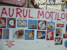 [P07]  -- <small>// FĂRĂ DESCRIERE</small> » foto by Paty
 - 
<span class="allrVoted glyphicon glyphicon-heart hidden" id="av164335"></span>
<a class="m-l-10 hidden" id="sv164335" onclick="voting_Foto_DelVot(,164335,14527)" role="button">șterge vot <span class="glyphicon glyphicon-remove"></span></a>
<a id="v9164335" class=" c-red"  onclick="voting_Foto_SetVot(164335)" role="button"><span class="glyphicon glyphicon-heart-empty"></span> <b>LIKE</b> = Votează poza</a> <img class="hidden"  id="f164335W9" src="/imagini/loader.gif" border="0" /><span class="AjErrMes hidden" id="e164335ErM"></span>