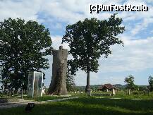 [P01] Tebea - Gorunul lui Horea; se observa clar diferenta intre sarcofagul de ciment si portiunea din original. » foto by Paty
 - 
<span class="allrVoted glyphicon glyphicon-heart hidden" id="av158006"></span>
<a class="m-l-10 hidden" id="sv158006" onclick="voting_Foto_DelVot(,158006,14527)" role="button">șterge vot <span class="glyphicon glyphicon-remove"></span></a>
<a id="v9158006" class=" c-red"  onclick="voting_Foto_SetVot(158006)" role="button"><span class="glyphicon glyphicon-heart-empty"></span> <b>LIKE</b> = Votează poza</a> <img class="hidden"  id="f158006W9" src="/imagini/loader.gif" border="0" /><span class="AjErrMes hidden" id="e158006ErM"></span>