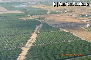 [P03] Plantatii de lamai si portocali » foto by fregata
 - 
<span class="allrVoted glyphicon glyphicon-heart hidden" id="av437106"></span>
<a class="m-l-10 hidden" id="sv437106" onclick="voting_Foto_DelVot(,437106,14534)" role="button">șterge vot <span class="glyphicon glyphicon-remove"></span></a>
<a id="v9437106" class=" c-red"  onclick="voting_Foto_SetVot(437106)" role="button"><span class="glyphicon glyphicon-heart-empty"></span> <b>LIKE</b> = Votează poza</a> <img class="hidden"  id="f437106W9" src="/imagini/loader.gif" border="0" /><span class="AjErrMes hidden" id="e437106ErM"></span>