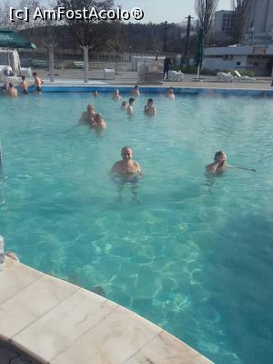 [P03] In bazinul rotund... Acesta era cel mai utilizat de cei prezenti...  » foto by iulian68
 - 
<span class="allrVoted glyphicon glyphicon-heart hidden" id="av961968"></span>
<a class="m-l-10 hidden" id="sv961968" onclick="voting_Foto_DelVot(,961968,14626)" role="button">șterge vot <span class="glyphicon glyphicon-remove"></span></a>
<a id="v9961968" class=" c-red"  onclick="voting_Foto_SetVot(961968)" role="button"><span class="glyphicon glyphicon-heart-empty"></span> <b>LIKE</b> = Votează poza</a> <img class="hidden"  id="f961968W9" src="/imagini/loader.gif" border="0" /><span class="AjErrMes hidden" id="e961968ErM"></span>