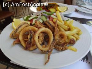 [P29] Kalamari la restaurantul Aquarius » foto by irinad
 - 
<span class="allrVoted glyphicon glyphicon-heart hidden" id="av859593"></span>
<a class="m-l-10 hidden" id="sv859593" onclick="voting_Foto_DelVot(,859593,14638)" role="button">șterge vot <span class="glyphicon glyphicon-remove"></span></a>
<a id="v9859593" class=" c-red"  onclick="voting_Foto_SetVot(859593)" role="button"><span class="glyphicon glyphicon-heart-empty"></span> <b>LIKE</b> = Votează poza</a> <img class="hidden"  id="f859593W9" src="/imagini/loader.gif" border="0" /><span class="AjErrMes hidden" id="e859593ErM"></span>