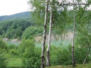 [P02] Verde și alb - Lacul de acumulare Măneciu.  » foto by tata123 🔱
 - 
<span class="allrVoted glyphicon glyphicon-heart hidden" id="av623421"></span>
<a class="m-l-10 hidden" id="sv623421" onclick="voting_Foto_DelVot(,623421,14664)" role="button">șterge vot <span class="glyphicon glyphicon-remove"></span></a>
<a id="v9623421" class=" c-red"  onclick="voting_Foto_SetVot(623421)" role="button"><span class="glyphicon glyphicon-heart-empty"></span> <b>LIKE</b> = Votează poza</a> <img class="hidden"  id="f623421W9" src="/imagini/loader.gif" border="0" /><span class="AjErrMes hidden" id="e623421ErM"></span>