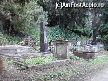 [P02] Cimitirul Evanghelic un loc linistit, ferit de aglomeratia din cetate, ideal pentru o plimbare :) » foto by Freak*
 - 
<span class="allrVoted glyphicon glyphicon-heart hidden" id="av295869"></span>
<a class="m-l-10 hidden" id="sv295869" onclick="voting_Foto_DelVot(,295869,14670)" role="button">șterge vot <span class="glyphicon glyphicon-remove"></span></a>
<a id="v9295869" class=" c-red"  onclick="voting_Foto_SetVot(295869)" role="button"><span class="glyphicon glyphicon-heart-empty"></span> <b>LIKE</b> = Votează poza</a> <img class="hidden"  id="f295869W9" src="/imagini/loader.gif" border="0" /><span class="AjErrMes hidden" id="e295869ErM"></span>
