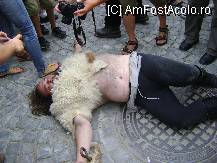 [P23] Festivalul Medieval Sighisoara - condamnatul e 'rezolvat' » foto by biancuta
 - 
<span class="allrVoted glyphicon glyphicon-heart hidden" id="av103329"></span>
<a class="m-l-10 hidden" id="sv103329" onclick="voting_Foto_DelVot(,103329,14670)" role="button">șterge vot <span class="glyphicon glyphicon-remove"></span></a>
<a id="v9103329" class=" c-red"  onclick="voting_Foto_SetVot(103329)" role="button"><span class="glyphicon glyphicon-heart-empty"></span> <b>LIKE</b> = Votează poza</a> <img class="hidden"  id="f103329W9" src="/imagini/loader.gif" border="0" /><span class="AjErrMes hidden" id="e103329ErM"></span>