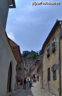 [P19] strada din cetate » foto by irma_ro*
 - 
<span class="allrVoted glyphicon glyphicon-heart hidden" id="av113449"></span>
<a class="m-l-10 hidden" id="sv113449" onclick="voting_Foto_DelVot(,113449,14670)" role="button">șterge vot <span class="glyphicon glyphicon-remove"></span></a>
<a id="v9113449" class=" c-red"  onclick="voting_Foto_SetVot(113449)" role="button"><span class="glyphicon glyphicon-heart-empty"></span> <b>LIKE</b> = Votează poza</a> <img class="hidden"  id="f113449W9" src="/imagini/loader.gif" border="0" /><span class="AjErrMes hidden" id="e113449ErM"></span>