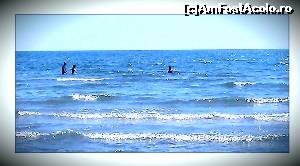 [P02]  -- <small>// FĂRĂ DESCRIERE</small> » foto by Cristina.petcu
 - 
<span class="allrVoted glyphicon glyphicon-heart hidden" id="av646130"></span>
<a class="m-l-10 hidden" id="sv646130" onclick="voting_Foto_DelVot(,646130,14678)" role="button">șterge vot <span class="glyphicon glyphicon-remove"></span></a>
<a id="v9646130" class=" c-red"  onclick="voting_Foto_SetVot(646130)" role="button"><span class="glyphicon glyphicon-heart-empty"></span> <b>LIKE</b> = Votează poza</a> <img class="hidden"  id="f646130W9" src="/imagini/loader.gif" border="0" /><span class="AjErrMes hidden" id="e646130ErM"></span>