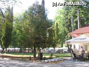 [P42] Dealungul parcului, tarabe pana aproape de Cimitirul Eroilor.  » foto by Michi
 - 
<span class="allrVoted glyphicon glyphicon-heart hidden" id="av375707"></span>
<a class="m-l-10 hidden" id="sv375707" onclick="voting_Foto_DelVot(,375707,14695)" role="button">șterge vot <span class="glyphicon glyphicon-remove"></span></a>
<a id="v9375707" class=" c-red"  onclick="voting_Foto_SetVot(375707)" role="button"><span class="glyphicon glyphicon-heart-empty"></span> <b>LIKE</b> = Votează poza</a> <img class="hidden"  id="f375707W9" src="/imagini/loader.gif" border="0" /><span class="AjErrMes hidden" id="e375707ErM"></span>
