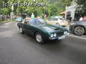 [P16] Parada masinilor de epoca » foto by Michi
 - 
<span class="allrVoted glyphicon glyphicon-heart hidden" id="av980479"></span>
<a class="m-l-10 hidden" id="sv980479" onclick="voting_Foto_DelVot(,980479,14695)" role="button">șterge vot <span class="glyphicon glyphicon-remove"></span></a>
<a id="v9980479" class=" c-red"  onclick="voting_Foto_SetVot(980479)" role="button"><span class="glyphicon glyphicon-heart-empty"></span> <b>LIKE</b> = Votează poza</a> <img class="hidden"  id="f980479W9" src="/imagini/loader.gif" border="0" /><span class="AjErrMes hidden" id="e980479ErM"></span>