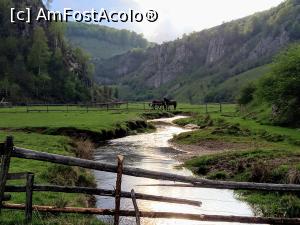 [P02] Fundătura Ponorului » foto by Mika
 - 
<span class="allrVoted glyphicon glyphicon-heart hidden" id="av1299228"></span>
<a class="m-l-10 hidden" id="sv1299228" onclick="voting_Foto_DelVot(,1299228,14749)" role="button">șterge vot <span class="glyphicon glyphicon-remove"></span></a>
<a id="v91299228" class=" c-red"  onclick="voting_Foto_SetVot(1299228)" role="button"><span class="glyphicon glyphicon-heart-empty"></span> <b>LIKE</b> = Votează poza</a> <img class="hidden"  id="f1299228W9" src="/imagini/loader.gif" border="0" /><span class="AjErrMes hidden" id="e1299228ErM"></span>