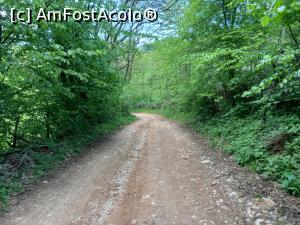 [P03] Pornim la drum de la satul Federi » foto by Mika
 - 
<span class="allrVoted glyphicon glyphicon-heart hidden" id="av1299229"></span>
<a class="m-l-10 hidden" id="sv1299229" onclick="voting_Foto_DelVot(,1299229,14749)" role="button">șterge vot <span class="glyphicon glyphicon-remove"></span></a>
<a id="v91299229" class=" c-red"  onclick="voting_Foto_SetVot(1299229)" role="button"><span class="glyphicon glyphicon-heart-empty"></span> <b>LIKE</b> = Votează poza</a> <img class="hidden"  id="f1299229W9" src="/imagini/loader.gif" border="0" /><span class="AjErrMes hidden" id="e1299229ErM"></span>