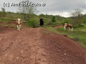 [P05] Spre Fundatura Ponorului, intampinați de o localnică » foto by Mika
 - 
<span class="allrVoted glyphicon glyphicon-heart hidden" id="av1299231"></span>
<a class="m-l-10 hidden" id="sv1299231" onclick="voting_Foto_DelVot(,1299231,14749)" role="button">șterge vot <span class="glyphicon glyphicon-remove"></span></a>
<a id="v91299231" class=" c-red"  onclick="voting_Foto_SetVot(1299231)" role="button"><span class="glyphicon glyphicon-heart-empty"></span> <b>LIKE</b> = Votează poza</a> <img class="hidden"  id="f1299231W9" src="/imagini/loader.gif" border="0" /><span class="AjErrMes hidden" id="e1299231ErM"></span>