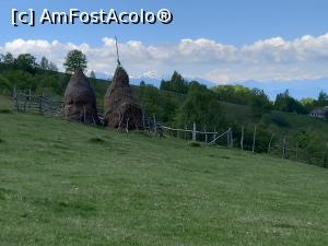 [P50] Fundătura Ponorului » foto by Mika
 - 
<span class="allrVoted glyphicon glyphicon-heart hidden" id="av1299276"></span>
<a class="m-l-10 hidden" id="sv1299276" onclick="voting_Foto_DelVot(,1299276,14749)" role="button">șterge vot <span class="glyphicon glyphicon-remove"></span></a>
<a id="v91299276" class=" c-red"  onclick="voting_Foto_SetVot(1299276)" role="button"><span class="glyphicon glyphicon-heart-empty"></span> <b>LIKE</b> = Votează poza</a> <img class="hidden"  id="f1299276W9" src="/imagini/loader.gif" border="0" /><span class="AjErrMes hidden" id="e1299276ErM"></span>