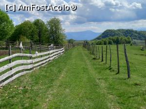 [P55] Fundătura Ponorului » foto by Mika
 - 
<span class="allrVoted glyphicon glyphicon-heart hidden" id="av1299281"></span>
<a class="m-l-10 hidden" id="sv1299281" onclick="voting_Foto_DelVot(,1299281,14749)" role="button">șterge vot <span class="glyphicon glyphicon-remove"></span></a>
<a id="v91299281" class=" c-red"  onclick="voting_Foto_SetVot(1299281)" role="button"><span class="glyphicon glyphicon-heart-empty"></span> <b>LIKE</b> = Votează poza</a> <img class="hidden"  id="f1299281W9" src="/imagini/loader.gif" border="0" /><span class="AjErrMes hidden" id="e1299281ErM"></span>