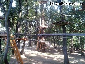 [P10] Parcul de aventură Phoenix Cernica - traseele.  » foto by Dragoș_MD
 - 
<span class="allrVoted glyphicon glyphicon-heart hidden" id="av444765"></span>
<a class="m-l-10 hidden" id="sv444765" onclick="voting_Foto_DelVot(,444765,14760)" role="button">șterge vot <span class="glyphicon glyphicon-remove"></span></a>
<a id="v9444765" class=" c-red"  onclick="voting_Foto_SetVot(444765)" role="button"><span class="glyphicon glyphicon-heart-empty"></span> <b>LIKE</b> = Votează poza</a> <img class="hidden"  id="f444765W9" src="/imagini/loader.gif" border="0" /><span class="AjErrMes hidden" id="e444765ErM"></span>