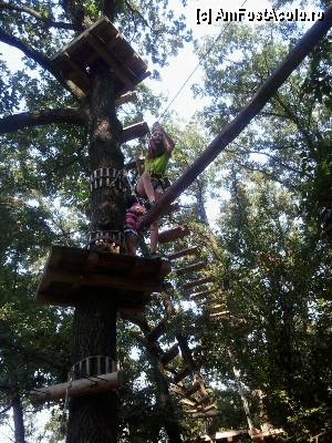 [P11] Parcul de aventură Phoenix Cernica - traseele.  » foto by Dragoș_MD
 - 
<span class="allrVoted glyphicon glyphicon-heart hidden" id="av444766"></span>
<a class="m-l-10 hidden" id="sv444766" onclick="voting_Foto_DelVot(,444766,14760)" role="button">șterge vot <span class="glyphicon glyphicon-remove"></span></a>
<a id="v9444766" class=" c-red"  onclick="voting_Foto_SetVot(444766)" role="button"><span class="glyphicon glyphicon-heart-empty"></span> <b>LIKE</b> = Votează poza</a> <img class="hidden"  id="f444766W9" src="/imagini/loader.gif" border="0" /><span class="AjErrMes hidden" id="e444766ErM"></span>