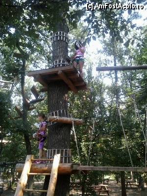 [P12] Parcul de aventură Phoenix Cernica - traseele.  » foto by Dragoș_MD
 - 
<span class="allrVoted glyphicon glyphicon-heart hidden" id="av444767"></span>
<a class="m-l-10 hidden" id="sv444767" onclick="voting_Foto_DelVot(,444767,14760)" role="button">șterge vot <span class="glyphicon glyphicon-remove"></span></a>
<a id="v9444767" class=" c-red"  onclick="voting_Foto_SetVot(444767)" role="button"><span class="glyphicon glyphicon-heart-empty"></span> <b>LIKE</b> = Votează poza</a> <img class="hidden"  id="f444767W9" src="/imagini/loader.gif" border="0" /><span class="AjErrMes hidden" id="e444767ErM"></span>