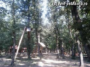 [P15] Parcul de aventură Phoenix Cernica - traseele.  » foto by Dragoș_MD
 - 
<span class="allrVoted glyphicon glyphicon-heart hidden" id="av444770"></span>
<a class="m-l-10 hidden" id="sv444770" onclick="voting_Foto_DelVot(,444770,14760)" role="button">șterge vot <span class="glyphicon glyphicon-remove"></span></a>
<a id="v9444770" class=" c-red"  onclick="voting_Foto_SetVot(444770)" role="button"><span class="glyphicon glyphicon-heart-empty"></span> <b>LIKE</b> = Votează poza</a> <img class="hidden"  id="f444770W9" src="/imagini/loader.gif" border="0" /><span class="AjErrMes hidden" id="e444770ErM"></span>