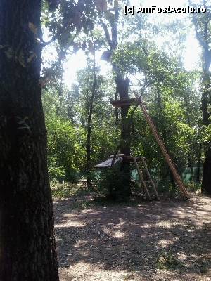 [P16] Parcul de aventură Phoenix Cernica - traseele.  » foto by Dragoș_MD
 - 
<span class="allrVoted glyphicon glyphicon-heart hidden" id="av444771"></span>
<a class="m-l-10 hidden" id="sv444771" onclick="voting_Foto_DelVot(,444771,14760)" role="button">șterge vot <span class="glyphicon glyphicon-remove"></span></a>
<a id="v9444771" class=" c-red"  onclick="voting_Foto_SetVot(444771)" role="button"><span class="glyphicon glyphicon-heart-empty"></span> <b>LIKE</b> = Votează poza</a> <img class="hidden"  id="f444771W9" src="/imagini/loader.gif" border="0" /><span class="AjErrMes hidden" id="e444771ErM"></span>