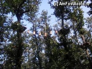 [P17] Parcul de aventură Phoenix Cernica - traseele.  » foto by Dragoș_MD
 - 
<span class="allrVoted glyphicon glyphicon-heart hidden" id="av444772"></span>
<a class="m-l-10 hidden" id="sv444772" onclick="voting_Foto_DelVot(,444772,14760)" role="button">șterge vot <span class="glyphicon glyphicon-remove"></span></a>
<a id="v9444772" class=" c-red"  onclick="voting_Foto_SetVot(444772)" role="button"><span class="glyphicon glyphicon-heart-empty"></span> <b>LIKE</b> = Votează poza</a> <img class="hidden"  id="f444772W9" src="/imagini/loader.gif" border="0" /><span class="AjErrMes hidden" id="e444772ErM"></span>