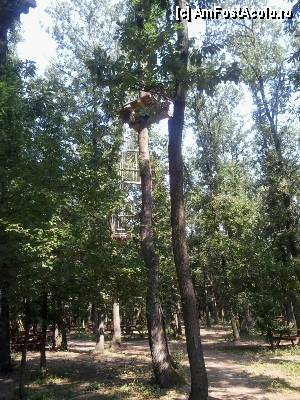 [P19] Parcul de aventură Phoenix Cernica - traseele.  » foto by Dragoș_MD
 - 
<span class="allrVoted glyphicon glyphicon-heart hidden" id="av444774"></span>
<a class="m-l-10 hidden" id="sv444774" onclick="voting_Foto_DelVot(,444774,14760)" role="button">șterge vot <span class="glyphicon glyphicon-remove"></span></a>
<a id="v9444774" class=" c-red"  onclick="voting_Foto_SetVot(444774)" role="button"><span class="glyphicon glyphicon-heart-empty"></span> <b>LIKE</b> = Votează poza</a> <img class="hidden"  id="f444774W9" src="/imagini/loader.gif" border="0" /><span class="AjErrMes hidden" id="e444774ErM"></span>
