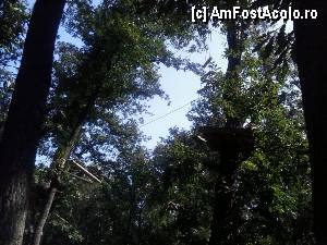 [P20] Parcul de aventură Phoenix Cernica - traseele.  » foto by Dragoș_MD
 - 
<span class="allrVoted glyphicon glyphicon-heart hidden" id="av444775"></span>
<a class="m-l-10 hidden" id="sv444775" onclick="voting_Foto_DelVot(,444775,14760)" role="button">șterge vot <span class="glyphicon glyphicon-remove"></span></a>
<a id="v9444775" class=" c-red"  onclick="voting_Foto_SetVot(444775)" role="button"><span class="glyphicon glyphicon-heart-empty"></span> <b>LIKE</b> = Votează poza</a> <img class="hidden"  id="f444775W9" src="/imagini/loader.gif" border="0" /><span class="AjErrMes hidden" id="e444775ErM"></span>