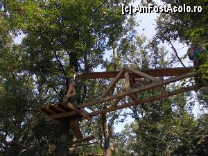[P23] Parcul de aventură Phoenix Cernica - traseele.  » foto by Dragoș_MD
 - 
<span class="allrVoted glyphicon glyphicon-heart hidden" id="av444778"></span>
<a class="m-l-10 hidden" id="sv444778" onclick="voting_Foto_DelVot(,444778,14760)" role="button">șterge vot <span class="glyphicon glyphicon-remove"></span></a>
<a id="v9444778" class=" c-red"  onclick="voting_Foto_SetVot(444778)" role="button"><span class="glyphicon glyphicon-heart-empty"></span> <b>LIKE</b> = Votează poza</a> <img class="hidden"  id="f444778W9" src="/imagini/loader.gif" border="0" /><span class="AjErrMes hidden" id="e444778ErM"></span>