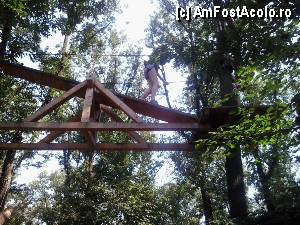 [P24] Parcul de aventură Phoenix Cernica - traseele.  » foto by Dragoș_MD
 - 
<span class="allrVoted glyphicon glyphicon-heart hidden" id="av444779"></span>
<a class="m-l-10 hidden" id="sv444779" onclick="voting_Foto_DelVot(,444779,14760)" role="button">șterge vot <span class="glyphicon glyphicon-remove"></span></a>
<a id="v9444779" class=" c-red"  onclick="voting_Foto_SetVot(444779)" role="button"><span class="glyphicon glyphicon-heart-empty"></span> <b>LIKE</b> = Votează poza</a> <img class="hidden"  id="f444779W9" src="/imagini/loader.gif" border="0" /><span class="AjErrMes hidden" id="e444779ErM"></span>