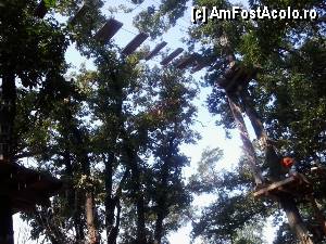 [P25] Parcul de aventură Phoenix Cernica - traseele.  » foto by Dragoș_MD
 - 
<span class="allrVoted glyphicon glyphicon-heart hidden" id="av444780"></span>
<a class="m-l-10 hidden" id="sv444780" onclick="voting_Foto_DelVot(,444780,14760)" role="button">șterge vot <span class="glyphicon glyphicon-remove"></span></a>
<a id="v9444780" class=" c-red"  onclick="voting_Foto_SetVot(444780)" role="button"><span class="glyphicon glyphicon-heart-empty"></span> <b>LIKE</b> = Votează poza</a> <img class="hidden"  id="f444780W9" src="/imagini/loader.gif" border="0" /><span class="AjErrMes hidden" id="e444780ErM"></span>