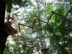 [P27] Parcul de aventură Phoenix Cernica - traseele.  » foto by Dragoș_MD
 - 
<span class="allrVoted glyphicon glyphicon-heart hidden" id="av444782"></span>
<a class="m-l-10 hidden" id="sv444782" onclick="voting_Foto_DelVot(,444782,14760)" role="button">șterge vot <span class="glyphicon glyphicon-remove"></span></a>
<a id="v9444782" class=" c-red"  onclick="voting_Foto_SetVot(444782)" role="button"><span class="glyphicon glyphicon-heart-empty"></span> <b>LIKE</b> = Votează poza</a> <img class="hidden"  id="f444782W9" src="/imagini/loader.gif" border="0" /><span class="AjErrMes hidden" id="e444782ErM"></span>