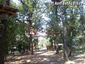 [P29] Parcul de aventură Phoenix Cernica - traseele.  » foto by Dragoș_MD
 - 
<span class="allrVoted glyphicon glyphicon-heart hidden" id="av444784"></span>
<a class="m-l-10 hidden" id="sv444784" onclick="voting_Foto_DelVot(,444784,14760)" role="button">șterge vot <span class="glyphicon glyphicon-remove"></span></a>
<a id="v9444784" class=" c-red"  onclick="voting_Foto_SetVot(444784)" role="button"><span class="glyphicon glyphicon-heart-empty"></span> <b>LIKE</b> = Votează poza</a> <img class="hidden"  id="f444784W9" src="/imagini/loader.gif" border="0" /><span class="AjErrMes hidden" id="e444784ErM"></span>