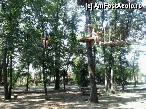 [P30] Parcul de aventură Phoenix Cernica - traseele.  » foto by Dragoș_MD
 - 
<span class="allrVoted glyphicon glyphicon-heart hidden" id="av444785"></span>
<a class="m-l-10 hidden" id="sv444785" onclick="voting_Foto_DelVot(,444785,14760)" role="button">șterge vot <span class="glyphicon glyphicon-remove"></span></a>
<a id="v9444785" class=" c-red"  onclick="voting_Foto_SetVot(444785)" role="button"><span class="glyphicon glyphicon-heart-empty"></span> <b>LIKE</b> = Votează poza</a> <img class="hidden"  id="f444785W9" src="/imagini/loader.gif" border="0" /><span class="AjErrMes hidden" id="e444785ErM"></span>