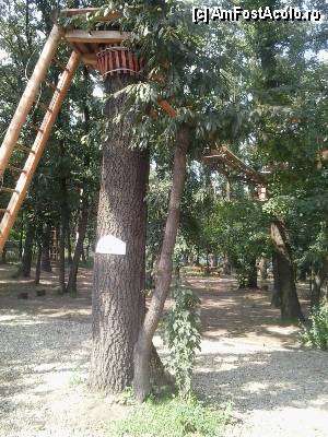 [P32] Parcul de aventură Phoenix Cernica - traseele.  » foto by Dragoș_MD
 - 
<span class="allrVoted glyphicon glyphicon-heart hidden" id="av444787"></span>
<a class="m-l-10 hidden" id="sv444787" onclick="voting_Foto_DelVot(,444787,14760)" role="button">șterge vot <span class="glyphicon glyphicon-remove"></span></a>
<a id="v9444787" class=" c-red"  onclick="voting_Foto_SetVot(444787)" role="button"><span class="glyphicon glyphicon-heart-empty"></span> <b>LIKE</b> = Votează poza</a> <img class="hidden"  id="f444787W9" src="/imagini/loader.gif" border="0" /><span class="AjErrMes hidden" id="e444787ErM"></span>