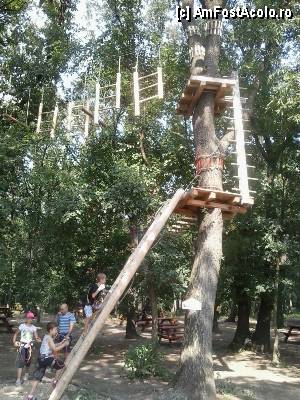 [P33] Parcul de aventură Phoenix Cernica - traseele.  » foto by Dragoș_MD
 - 
<span class="allrVoted glyphicon glyphicon-heart hidden" id="av444788"></span>
<a class="m-l-10 hidden" id="sv444788" onclick="voting_Foto_DelVot(,444788,14760)" role="button">șterge vot <span class="glyphicon glyphicon-remove"></span></a>
<a id="v9444788" class=" c-red"  onclick="voting_Foto_SetVot(444788)" role="button"><span class="glyphicon glyphicon-heart-empty"></span> <b>LIKE</b> = Votează poza</a> <img class="hidden"  id="f444788W9" src="/imagini/loader.gif" border="0" /><span class="AjErrMes hidden" id="e444788ErM"></span>