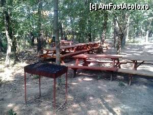 [P34] Parcul de aventură Phoenix Cernica - zona de pic-nic.  » foto by Dragoș_MD
 - 
<span class="allrVoted glyphicon glyphicon-heart hidden" id="av444789"></span>
<a class="m-l-10 hidden" id="sv444789" onclick="voting_Foto_DelVot(,444789,14760)" role="button">șterge vot <span class="glyphicon glyphicon-remove"></span></a>
<a id="v9444789" class=" c-red"  onclick="voting_Foto_SetVot(444789)" role="button"><span class="glyphicon glyphicon-heart-empty"></span> <b>LIKE</b> = Votează poza</a> <img class="hidden"  id="f444789W9" src="/imagini/loader.gif" border="0" /><span class="AjErrMes hidden" id="e444789ErM"></span>