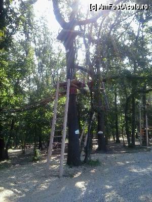 [P09] Parcul de aventură Phoenix Cernica - traseele.  » foto by Dragoș_MD
 - 
<span class="allrVoted glyphicon glyphicon-heart hidden" id="av444764"></span>
<a class="m-l-10 hidden" id="sv444764" onclick="voting_Foto_DelVot(,444764,14760)" role="button">șterge vot <span class="glyphicon glyphicon-remove"></span></a>
<a id="v9444764" class=" c-red"  onclick="voting_Foto_SetVot(444764)" role="button"><span class="glyphicon glyphicon-heart-empty"></span> <b>LIKE</b> = Votează poza</a> <img class="hidden"  id="f444764W9" src="/imagini/loader.gif" border="0" /><span class="AjErrMes hidden" id="e444764ErM"></span>