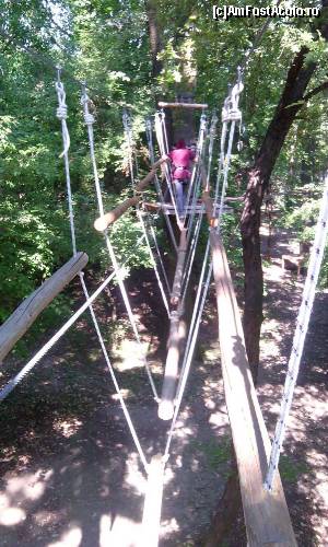 [P11] Phoenix Cernica Extreme Park - trasee » foto by Dragoș_MD
 - 
<span class="allrVoted glyphicon glyphicon-heart hidden" id="av654958"></span>
<a class="m-l-10 hidden" id="sv654958" onclick="voting_Foto_DelVot(,654958,14760)" role="button">șterge vot <span class="glyphicon glyphicon-remove"></span></a>
<a id="v9654958" class=" c-red"  onclick="voting_Foto_SetVot(654958)" role="button"><span class="glyphicon glyphicon-heart-empty"></span> <b>LIKE</b> = Votează poza</a> <img class="hidden"  id="f654958W9" src="/imagini/loader.gif" border="0" /><span class="AjErrMes hidden" id="e654958ErM"></span>