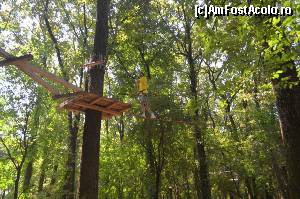 [P19] Phoenix Cernica Extreme Park - trasee » foto by Dragoș_MD
 - 
<span class="allrVoted glyphicon glyphicon-heart hidden" id="av654966"></span>
<a class="m-l-10 hidden" id="sv654966" onclick="voting_Foto_DelVot(,654966,14760)" role="button">șterge vot <span class="glyphicon glyphicon-remove"></span></a>
<a id="v9654966" class=" c-red"  onclick="voting_Foto_SetVot(654966)" role="button"><span class="glyphicon glyphicon-heart-empty"></span> <b>LIKE</b> = Votează poza</a> <img class="hidden"  id="f654966W9" src="/imagini/loader.gif" border="0" /><span class="AjErrMes hidden" id="e654966ErM"></span>