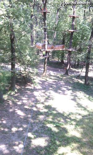 [P21] Phoenix Cernica Extreme Park - trasee » foto by Dragoș_MD
 - 
<span class="allrVoted glyphicon glyphicon-heart hidden" id="av654968"></span>
<a class="m-l-10 hidden" id="sv654968" onclick="voting_Foto_DelVot(,654968,14760)" role="button">șterge vot <span class="glyphicon glyphicon-remove"></span></a>
<a id="v9654968" class=" c-red"  onclick="voting_Foto_SetVot(654968)" role="button"><span class="glyphicon glyphicon-heart-empty"></span> <b>LIKE</b> = Votează poza</a> <img class="hidden"  id="f654968W9" src="/imagini/loader.gif" border="0" /><span class="AjErrMes hidden" id="e654968ErM"></span>