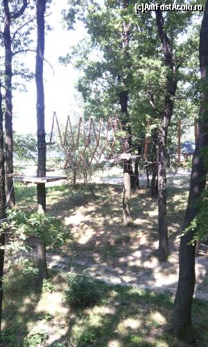 [P22] Phoenix Cernica Extreme Park - trasee » foto by Dragoș_MD
 - 
<span class="allrVoted glyphicon glyphicon-heart hidden" id="av654969"></span>
<a class="m-l-10 hidden" id="sv654969" onclick="voting_Foto_DelVot(,654969,14760)" role="button">șterge vot <span class="glyphicon glyphicon-remove"></span></a>
<a id="v9654969" class=" c-red"  onclick="voting_Foto_SetVot(654969)" role="button"><span class="glyphicon glyphicon-heart-empty"></span> <b>LIKE</b> = Votează poza</a> <img class="hidden"  id="f654969W9" src="/imagini/loader.gif" border="0" /><span class="AjErrMes hidden" id="e654969ErM"></span>