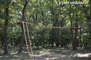 [P07] Phoenix Cernica Extreme Park - trasee » foto by Dragoș_MD
 - 
<span class="allrVoted glyphicon glyphicon-heart hidden" id="av654954"></span>
<a class="m-l-10 hidden" id="sv654954" onclick="voting_Foto_DelVot(,654954,14760)" role="button">șterge vot <span class="glyphicon glyphicon-remove"></span></a>
<a id="v9654954" class=" c-red"  onclick="voting_Foto_SetVot(654954)" role="button"><span class="glyphicon glyphicon-heart-empty"></span> <b>LIKE</b> = Votează poza</a> <img class="hidden"  id="f654954W9" src="/imagini/loader.gif" border="0" /><span class="AjErrMes hidden" id="e654954ErM"></span>