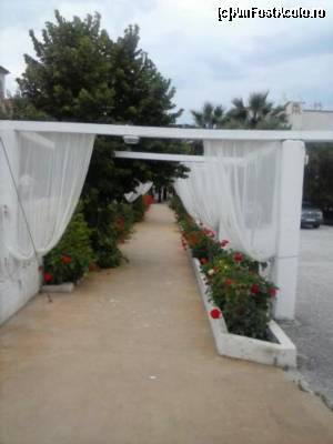 [P21] aranjament floral pe o strada din Skala Fourka » foto by sorin_gabriel
 - 
<span class="allrVoted glyphicon glyphicon-heart hidden" id="av520030"></span>
<a class="m-l-10 hidden" id="sv520030" onclick="voting_Foto_DelVot(,520030,14783)" role="button">șterge vot <span class="glyphicon glyphicon-remove"></span></a>
<a id="v9520030" class=" c-red"  onclick="voting_Foto_SetVot(520030)" role="button"><span class="glyphicon glyphicon-heart-empty"></span> <b>LIKE</b> = Votează poza</a> <img class="hidden"  id="f520030W9" src="/imagini/loader.gif" border="0" /><span class="AjErrMes hidden" id="e520030ErM"></span>