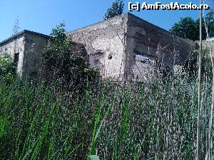 [P12] O parte din baza de tratament, inca se mai tine pe picioare » foto by dorgo
 - 
<span class="allrVoted glyphicon glyphicon-heart hidden" id="av626889"></span>
<a class="m-l-10 hidden" id="sv626889" onclick="voting_Foto_DelVot(,626889,14794)" role="button">șterge vot <span class="glyphicon glyphicon-remove"></span></a>
<a id="v9626889" class=" c-red"  onclick="voting_Foto_SetVot(626889)" role="button"><span class="glyphicon glyphicon-heart-empty"></span> <b>LIKE</b> = Votează poza</a> <img class="hidden"  id="f626889W9" src="/imagini/loader.gif" border="0" /><span class="AjErrMes hidden" id="e626889ErM"></span>