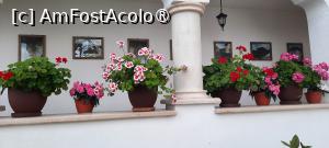 [P21] Mănăstirea Berislăvești, județul V&acirc;lcea, Stăreția, Cerdacul plin cu flori » foto by mprofeanu
 - 
<span class="allrVoted glyphicon glyphicon-heart hidden" id="av1394319"></span>
<a class="m-l-10 hidden" id="sv1394319" onclick="voting_Foto_DelVot(,1394319,14806)" role="button">șterge vot <span class="glyphicon glyphicon-remove"></span></a>
<a id="v91394319" class=" c-red"  onclick="voting_Foto_SetVot(1394319)" role="button"><span class="glyphicon glyphicon-heart-empty"></span> <b>LIKE</b> = Votează poza</a> <img class="hidden"  id="f1394319W9" src="/imagini/loader.gif" border="0" /><span class="AjErrMes hidden" id="e1394319ErM"></span>