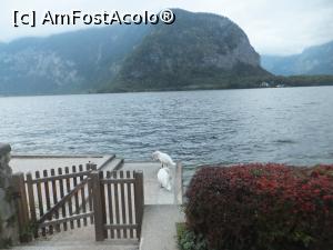 [P19] Lacul pe malul căruia se află renumitul orășel Hallstatt » foto by ElenaUlrich
 - 
<span class="allrVoted glyphicon glyphicon-heart hidden" id="av1350256"></span>
<a class="m-l-10 hidden" id="sv1350256" onclick="voting_Foto_DelVot(,1350256,14815)" role="button">șterge vot <span class="glyphicon glyphicon-remove"></span></a>
<a id="v91350256" class=" c-red"  onclick="voting_Foto_SetVot(1350256)" role="button"><span class="glyphicon glyphicon-heart-empty"></span> <b>LIKE</b> = Votează poza</a> <img class="hidden"  id="f1350256W9" src="/imagini/loader.gif" border="0" /><span class="AjErrMes hidden" id="e1350256ErM"></span>