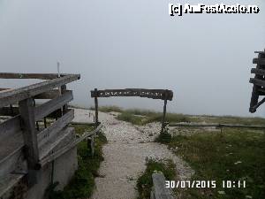 [P36]  -- <small>// FĂRĂ DESCRIERE</small> » foto by Alina53
 - 
<span class="allrVoted glyphicon glyphicon-heart hidden" id="av690014"></span>
<a class="m-l-10 hidden" id="sv690014" onclick="voting_Foto_DelVot(,690014,14815)" role="button">șterge vot <span class="glyphicon glyphicon-remove"></span></a>
<a id="v9690014" class=" c-red"  onclick="voting_Foto_SetVot(690014)" role="button"><span class="glyphicon glyphicon-heart-empty"></span> <b>LIKE</b> = Votează poza</a> <img class="hidden"  id="f690014W9" src="/imagini/loader.gif" border="0" /><span class="AjErrMes hidden" id="e690014ErM"></span>