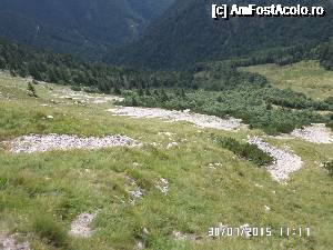 [P42]  -- <small>// FĂRĂ DESCRIERE</small> » foto by Alina53
 - 
<span class="allrVoted glyphicon glyphicon-heart hidden" id="av690024"></span>
<a class="m-l-10 hidden" id="sv690024" onclick="voting_Foto_DelVot(,690024,14815)" role="button">șterge vot <span class="glyphicon glyphicon-remove"></span></a>
<a id="v9690024" class=" c-red"  onclick="voting_Foto_SetVot(690024)" role="button"><span class="glyphicon glyphicon-heart-empty"></span> <b>LIKE</b> = Votează poza</a> <img class="hidden"  id="f690024W9" src="/imagini/loader.gif" border="0" /><span class="AjErrMes hidden" id="e690024ErM"></span>