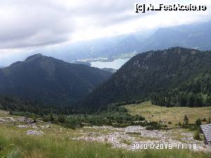 [P44]  -- <small>// FĂRĂ DESCRIERE</small> » foto by Alina53
 - 
<span class="allrVoted glyphicon glyphicon-heart hidden" id="av690026"></span>
<a class="m-l-10 hidden" id="sv690026" onclick="voting_Foto_DelVot(,690026,14815)" role="button">șterge vot <span class="glyphicon glyphicon-remove"></span></a>
<a id="v9690026" class=" c-red"  onclick="voting_Foto_SetVot(690026)" role="button"><span class="glyphicon glyphicon-heart-empty"></span> <b>LIKE</b> = Votează poza</a> <img class="hidden"  id="f690026W9" src="/imagini/loader.gif" border="0" /><span class="AjErrMes hidden" id="e690026ErM"></span>